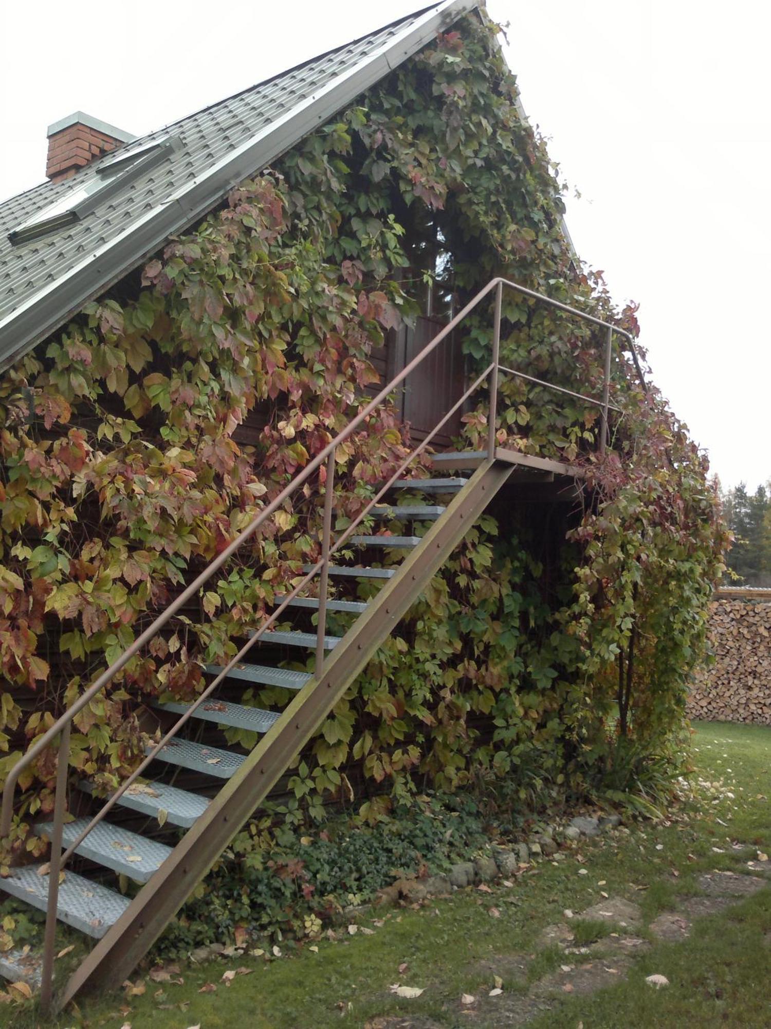 Bed and Breakfast Laane Pansion Käsmu Exterior foto