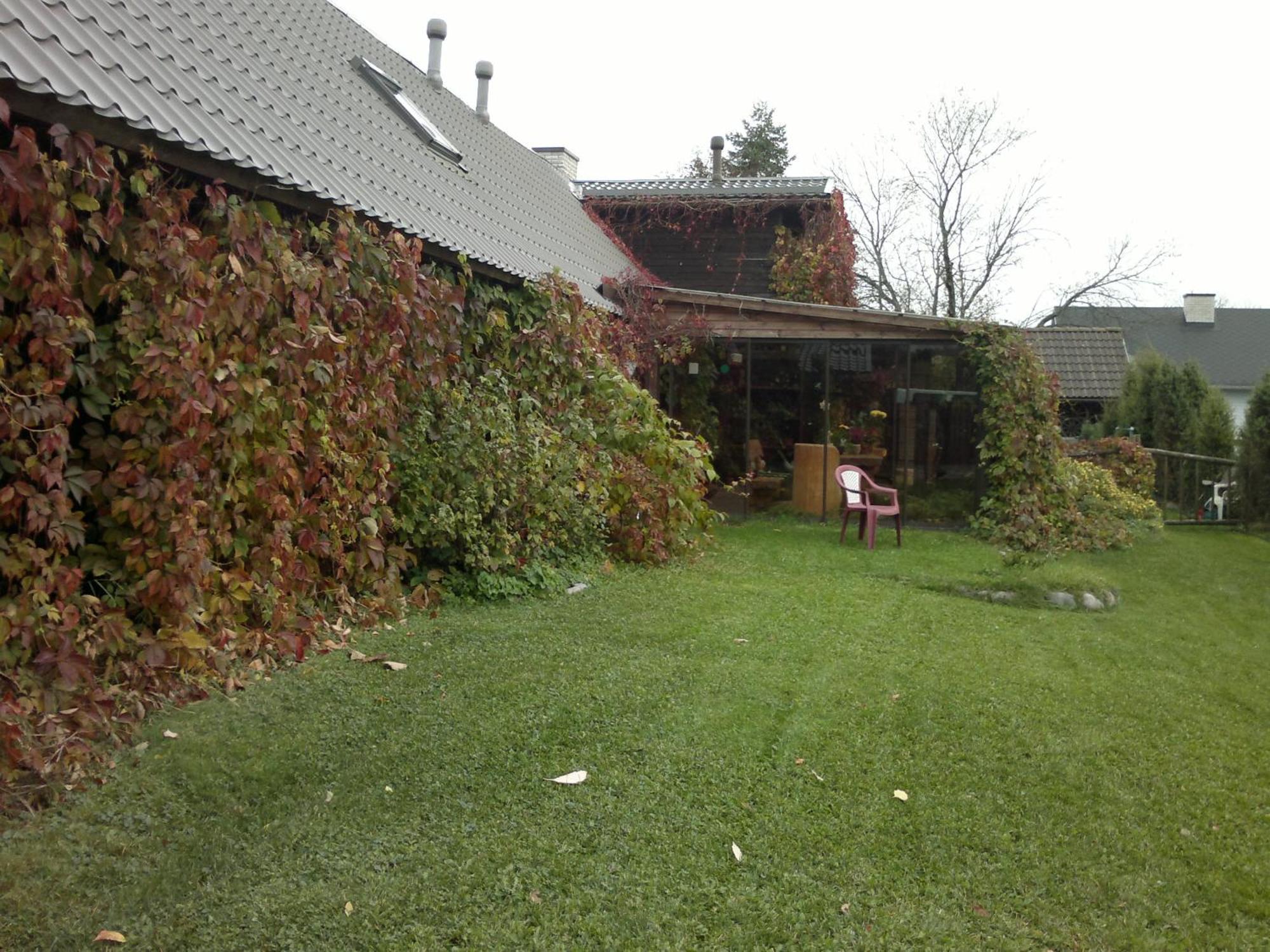 Bed and Breakfast Laane Pansion Käsmu Exterior foto